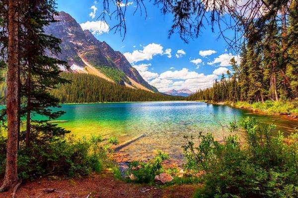 lago nel Parco Nazionale degli Stati Uniti puzzle online