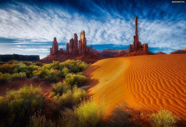 Wüste in Arizona USA Online-Puzzle
