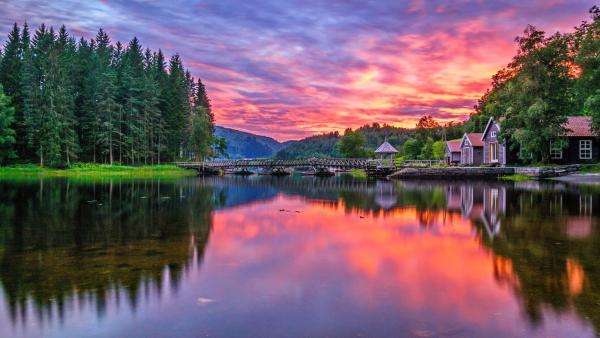 tó, erdő, naplemente online puzzle