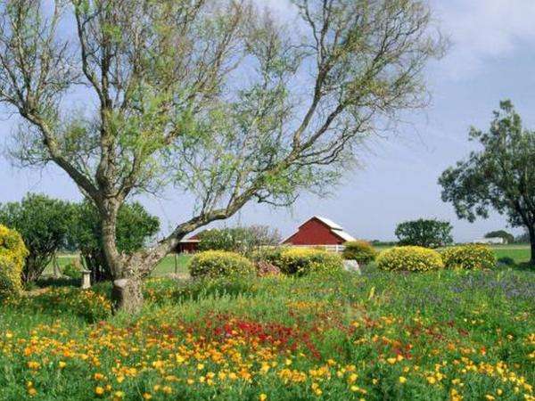 meadow, flowers, tree, cottage jigsaw puzzle online