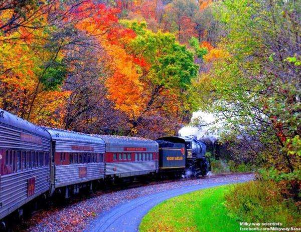 un tren într-o pădure de toamnă puzzle online