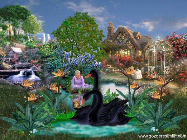 trädgård, blommor, svarta svanar Pussel online