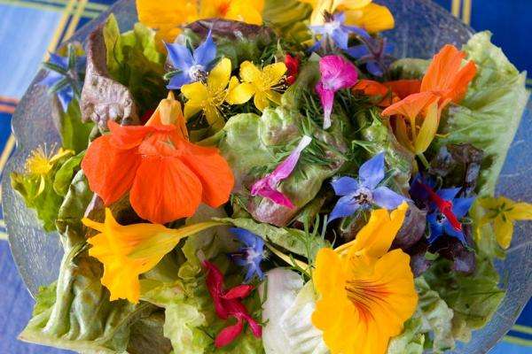 Edible flowers jigsaw puzzle online