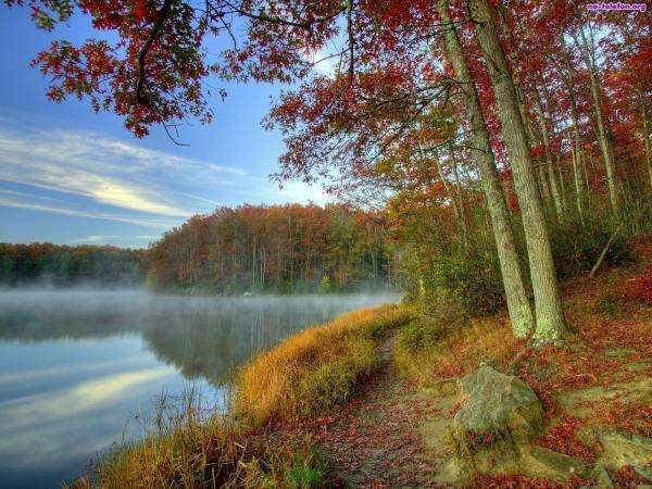 lago, floresta, névoa, outono... quebra-cabeças online