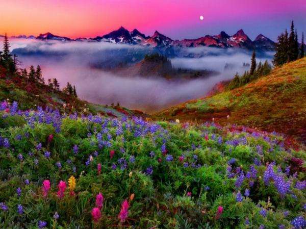 βουνά στην ομίχλη, λιβάδι, λουλούδια online παζλ