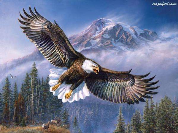 eagle, mountains, forest, deer jigsaw puzzle online