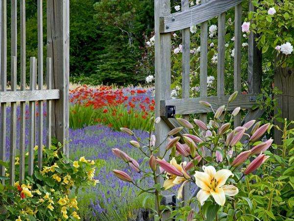 park, gate, lilies, fence jigsaw puzzle online