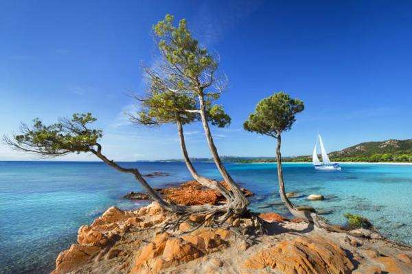 корсиканско крайбрежие, дървета, небе онлайн пъзел