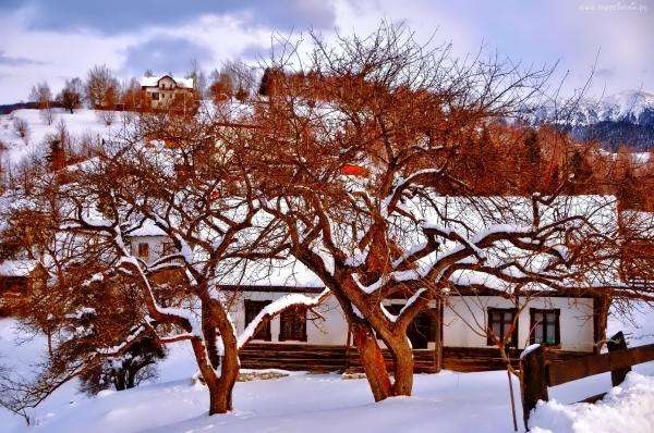 zima, venkovské domy, stromy skládačky online
