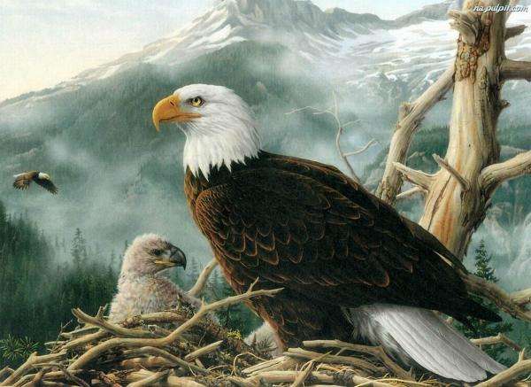 eagle, chick, nest jigsaw puzzle online