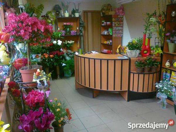 цветочный магазин, прилавок, полки, растения пазл онлайн