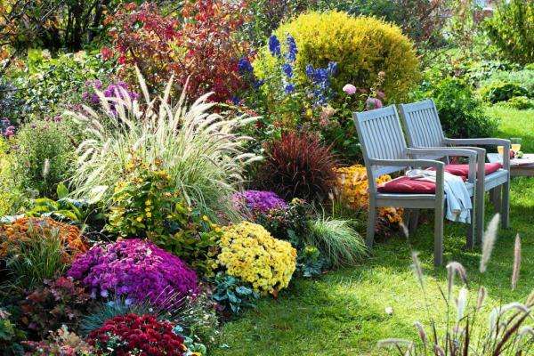 есенни цветя в градината онлайн пъзел
