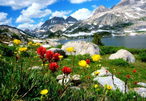 Βουνά, λουλούδια και λίμνη παζλ online
