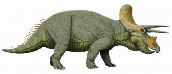 Triceratops jigsaw puzzle online