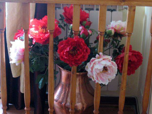 Pünkösdi rózsa, bazsarózsa kirakós online