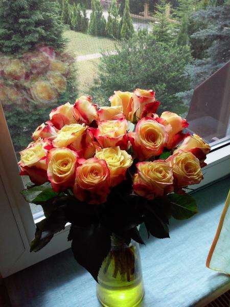 Милые розы :) онлайн-пазл