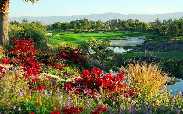 Квіти на полі для гольфу пазл онлайн