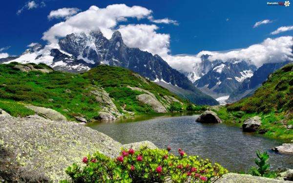 Montagnes lac et fleurs puzzle en ligne