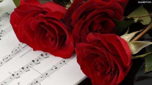 Trandafiri roșii puzzle online