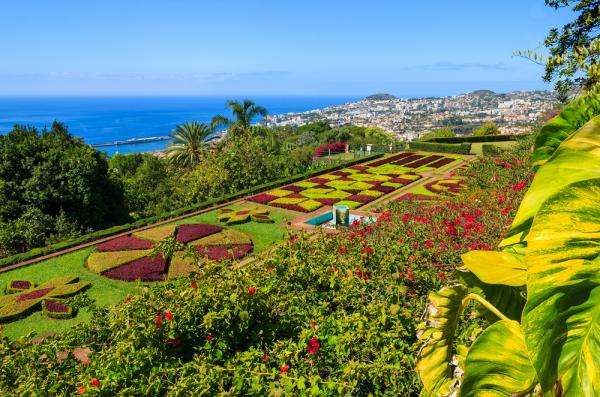 Madeira szigetén online puzzle