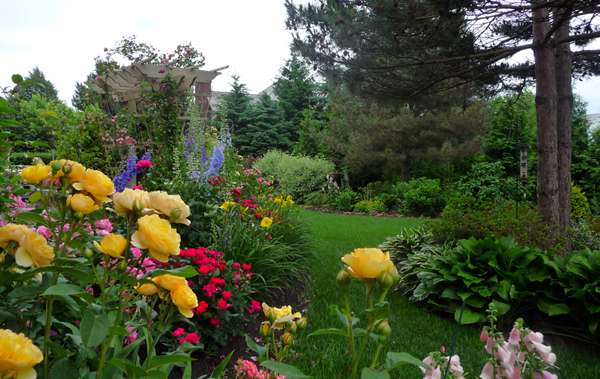 Grădină de flori colorate jigsaw puzzle online