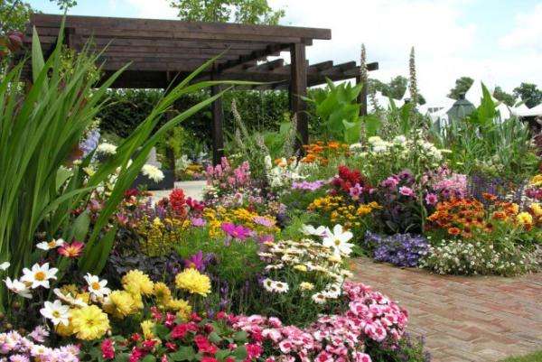 Barevné květinové zahrady online puzzle