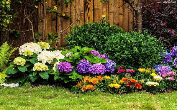 Πολύχρωμο κήπο με λουλούδια online παζλ