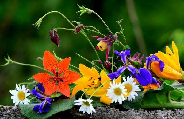 μπουκέτο από πολύχρωμα λουλούδια παζλ online