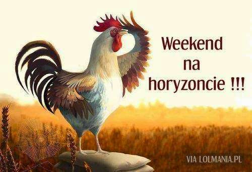 gallo esperando el fin de semana rompecabezas en línea