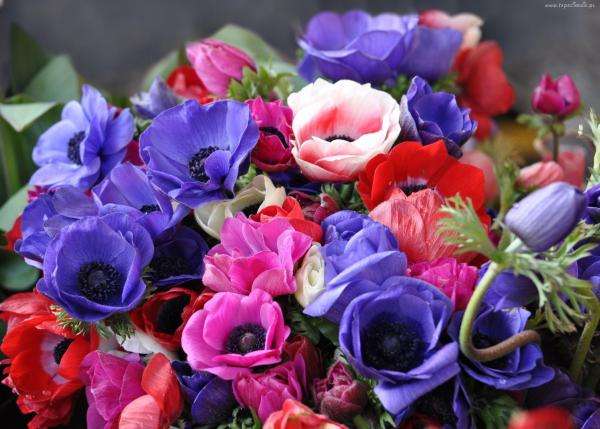 färgglada blommor Pussel online