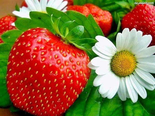 red strawberries jigsaw puzzle online