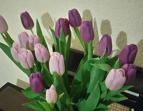 tulipánok online puzzle