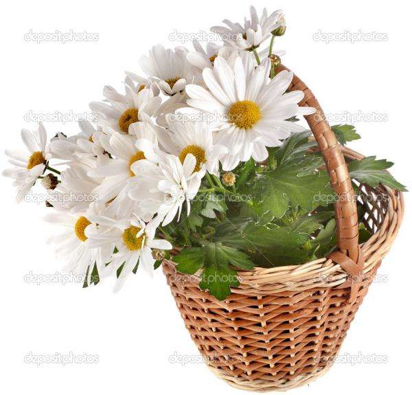 košík s květinami skládačky online
