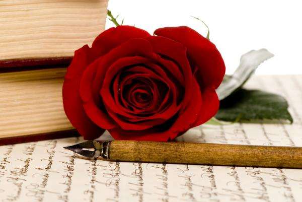 scris de mână, trandafir puzzle online