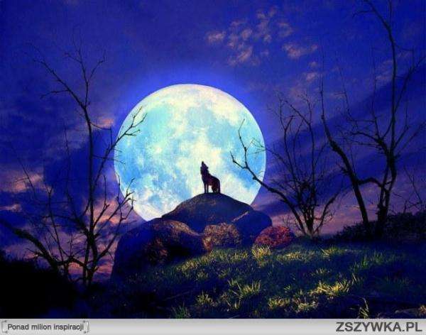 howling at the moon online puzzle