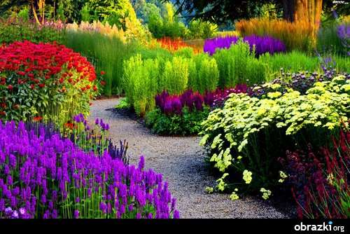 vacker trädgård Pussel online