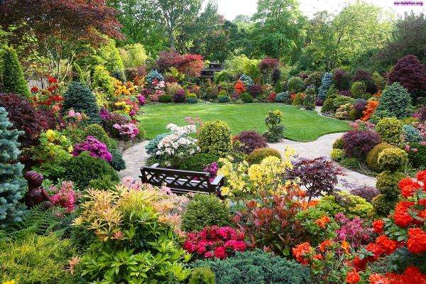 estate in un giardino fiorito puzzle online