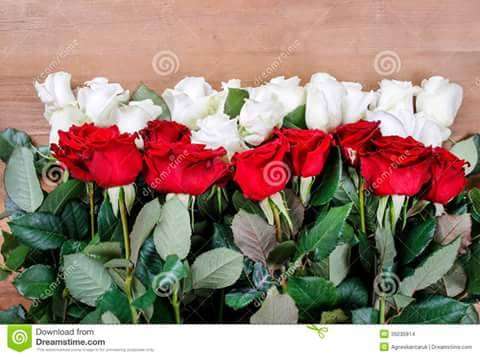 розы, красивые онлайн-пазл