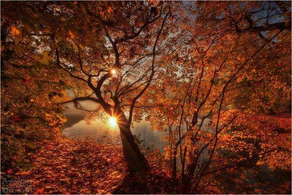 autumn sunset online puzzle