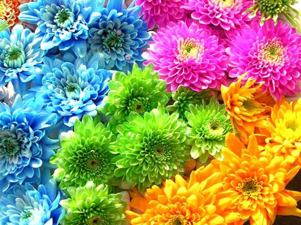 From a series of flowers jigsaw puzzle online