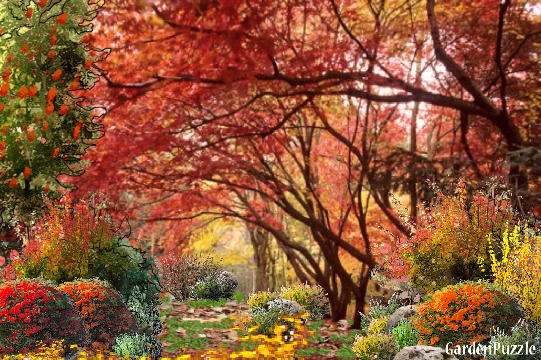 autumn garden online puzzle