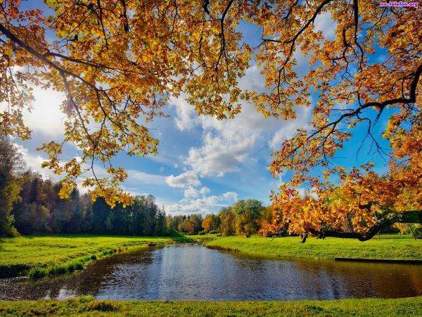 paisagem de outono perto da água puzzle online