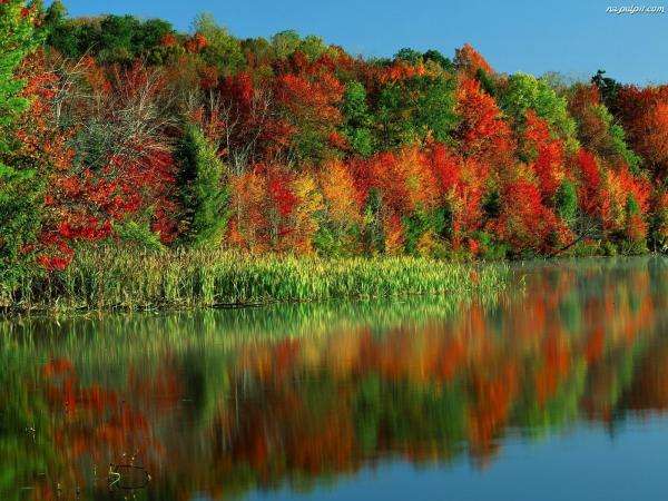autumn landscape by the water online puzzle