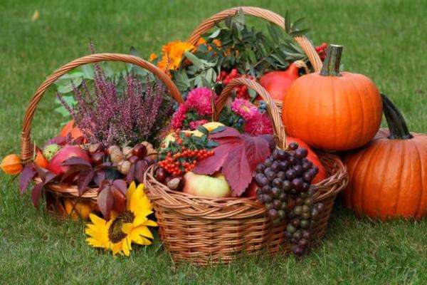 az ősz gyümölcsei és virágai online puzzle