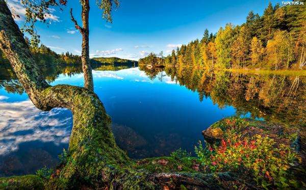Норвегия - езеро онлайн пъзел