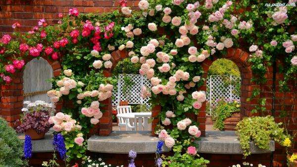 rosas na parede puzzle online