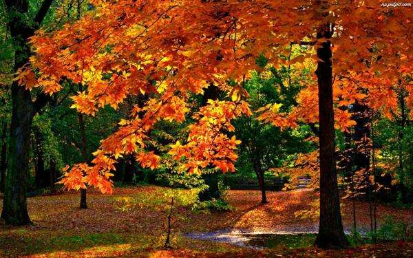 вече е красива есен онлайн пъзел