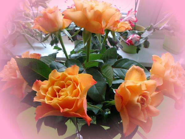рози във ваза онлайн пъзел