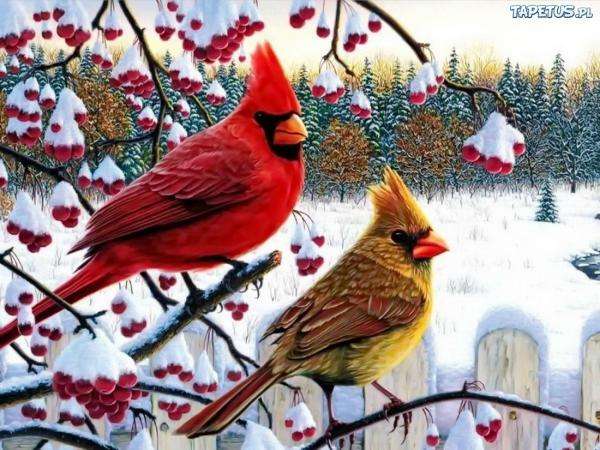 Vögel im Winter Puzzlespiel online