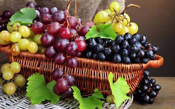 grapes jigsaw puzzle online